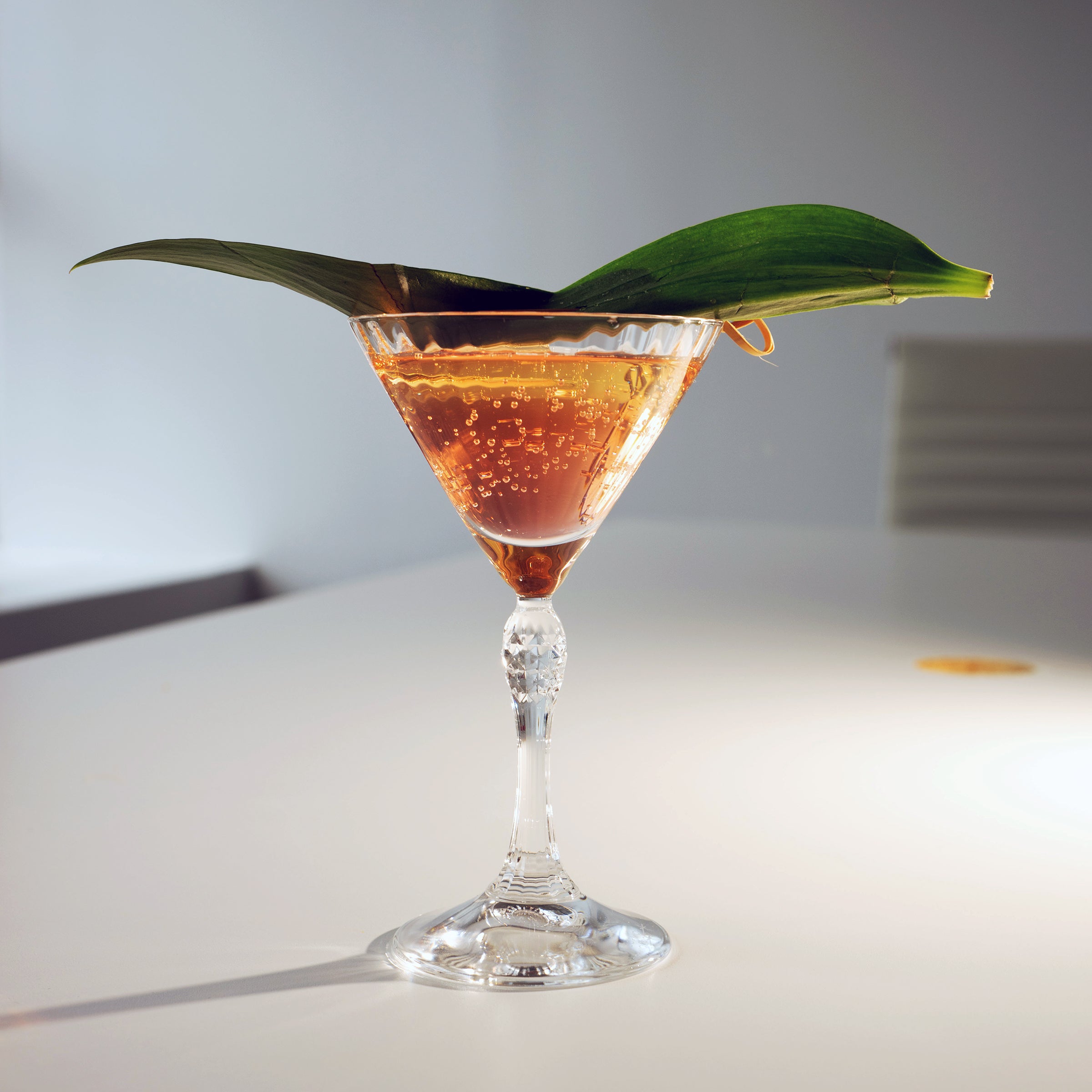 Martini Glasses – Bormioli Rocco USA