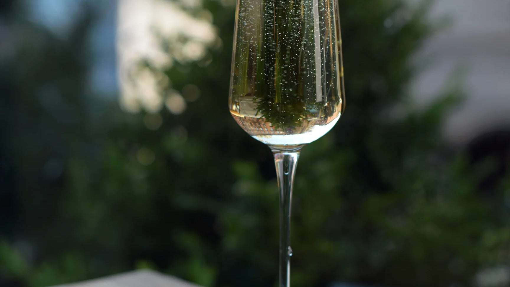 Wines of the World: Exploring Global Flavors for the Holidays
