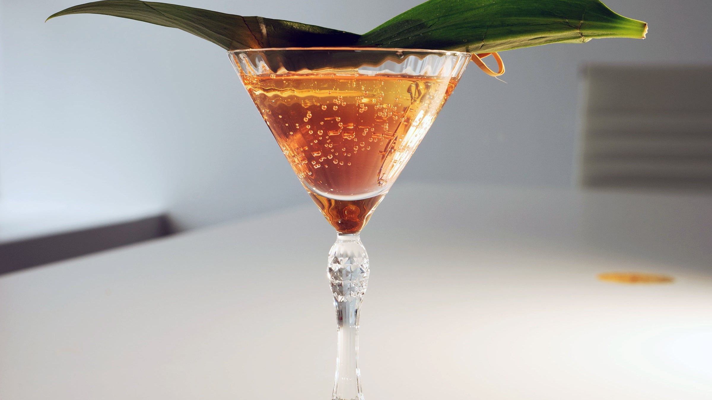 Martini Glasses – Bormioli Rocco USA