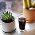 Bormioli Rocco Oxford Bar 13.35 oz. Beverage Drinking Glasses (Set of 6)
