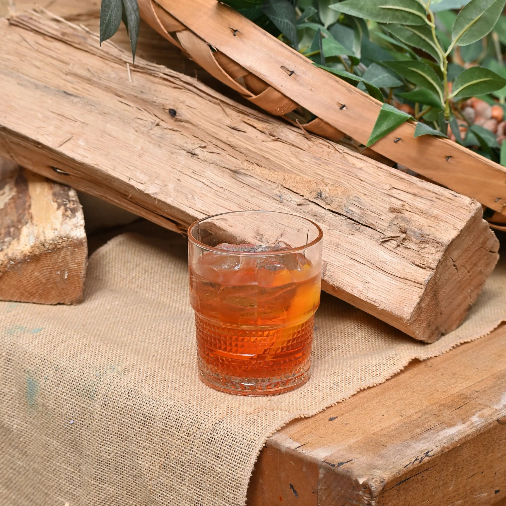 Novecento DOF glass with amber liquid on a rustic wooden surface with plants in the background
