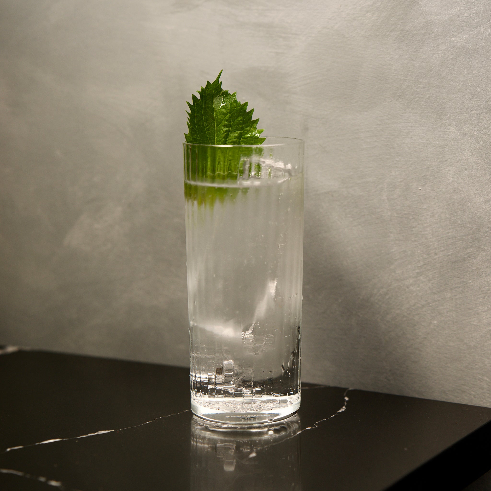 Clear Exclusiva Tom Collins glass with a clear cocktail and garnished with a green leaf on a black marbled surface and gray background