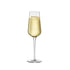 Bormioli Rocco InAlto Uno 9.5 oz. Sparkling Wine Flute (Set of 6)