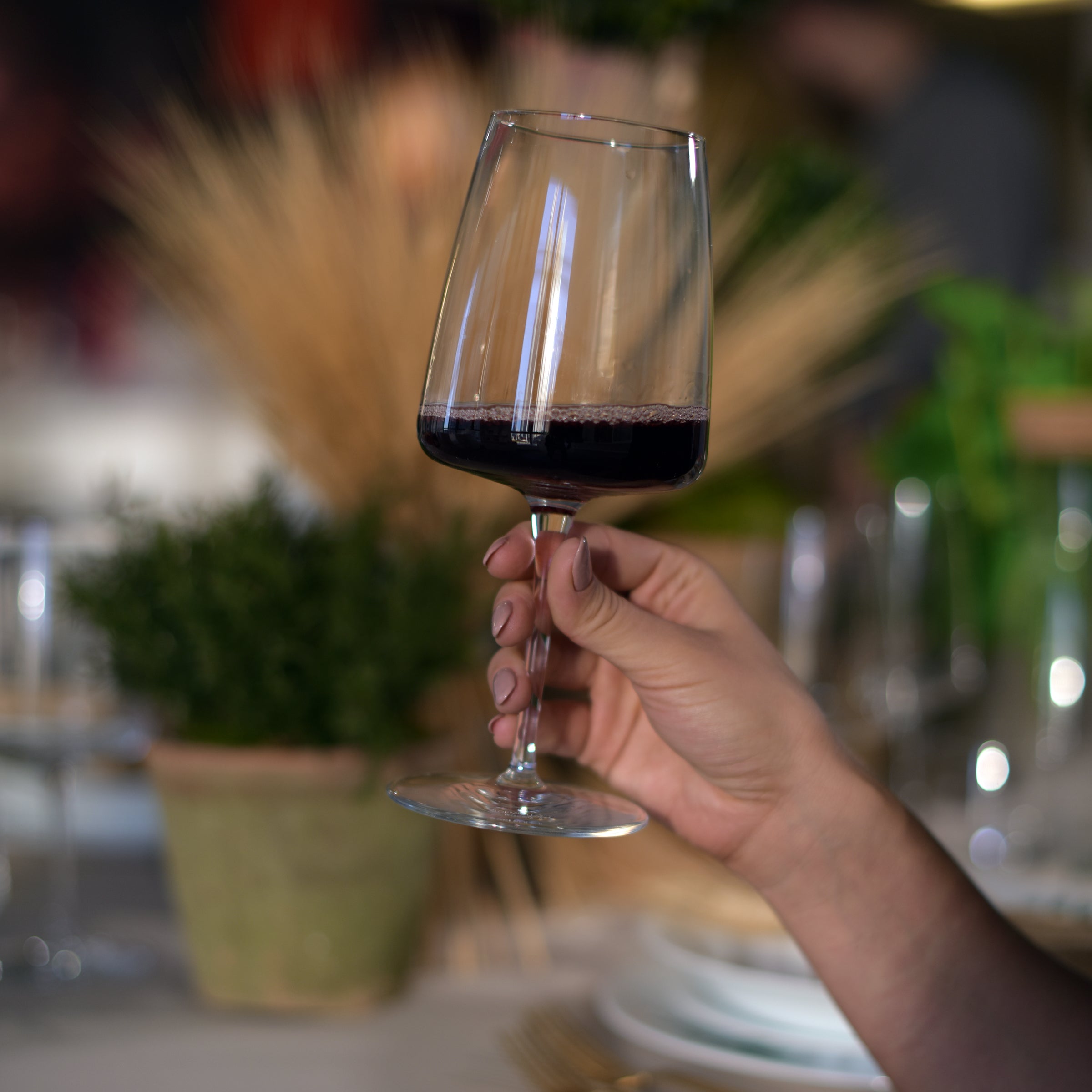 Bormioli Rocco Planeo 18.75 oz. Mature Red Wine Glasses (Set of 4)