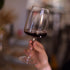 Bormioli Rocco Planeo 18.75 oz. Mature Red Wine Glasses (Set of 4)