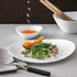 Bormioli Rocco Prometeo 10.75" x 9.5" Opal Glass Dinner Plate (Set of 24)