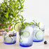Exclusiva Sapphire Blue Collection lifestyle