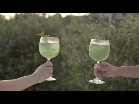 America '20s Gin & Tonic glasses video